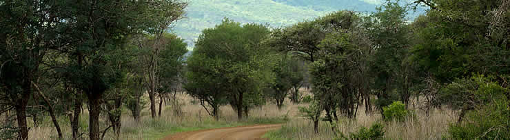 Hiking eSwatini (Swaziland)