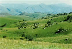 Malolotja Nature Reserve eSwatini (Swaziland)