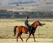 horse riding in scenic Swaziland